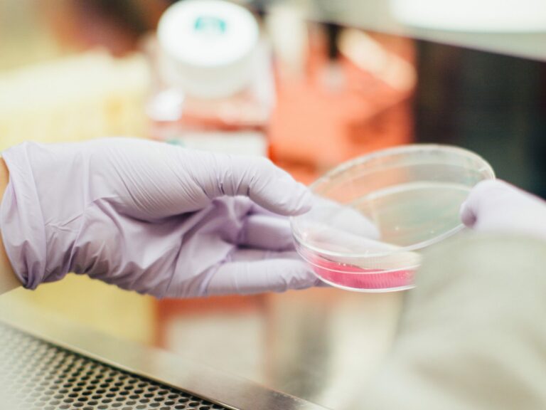 A hand doing a test in a petri dish