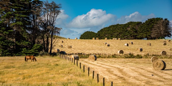 A farmer's fields with bales of straw in
