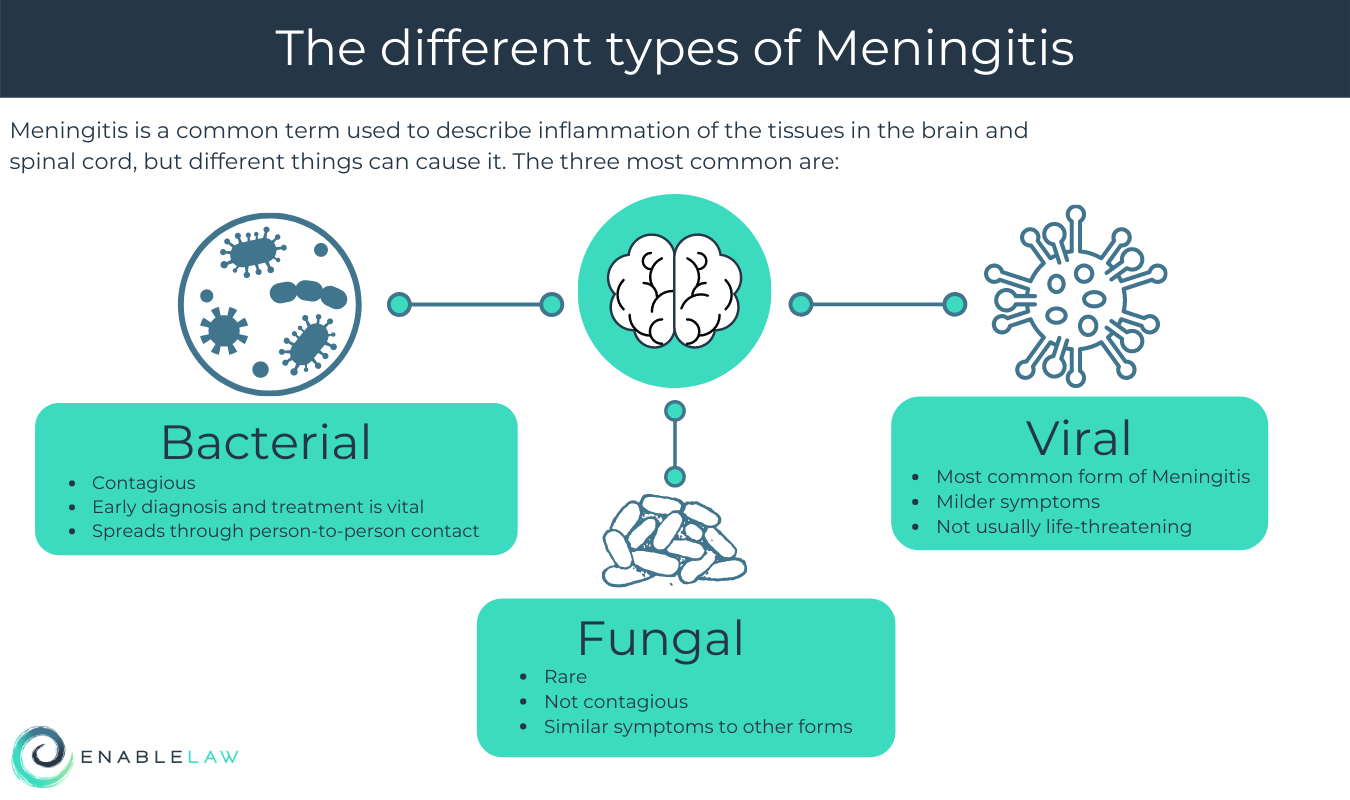 What Are The Different Types Of Meningitis Enable Law