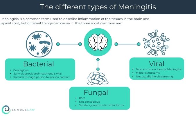 Small infographic showing the types of meningitis