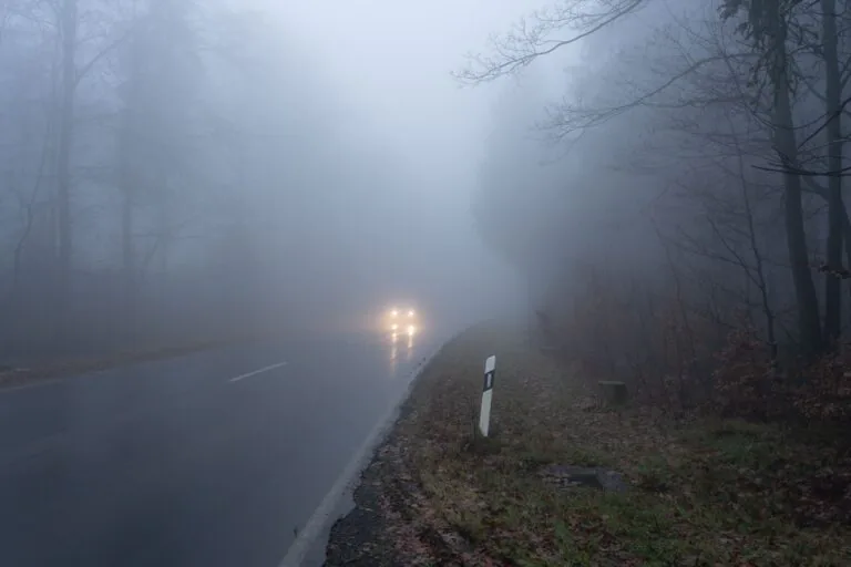 A,Car,On,The,Dark,And,Foggy,Forest,Road,During