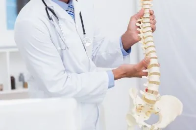 Doctor holding spinal cord